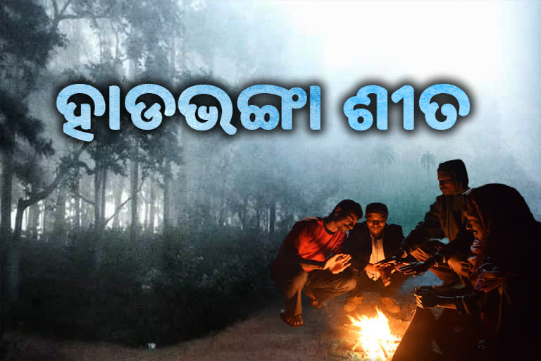 Cold Wave in Odisha : 6.5 ଡିଗ୍ରୀ ତାପମାତ୍ରା ସହ ରାଜ୍ୟର ଥଣ୍ତା ସହର ଦାରିଙ୍ଗିବାଡି