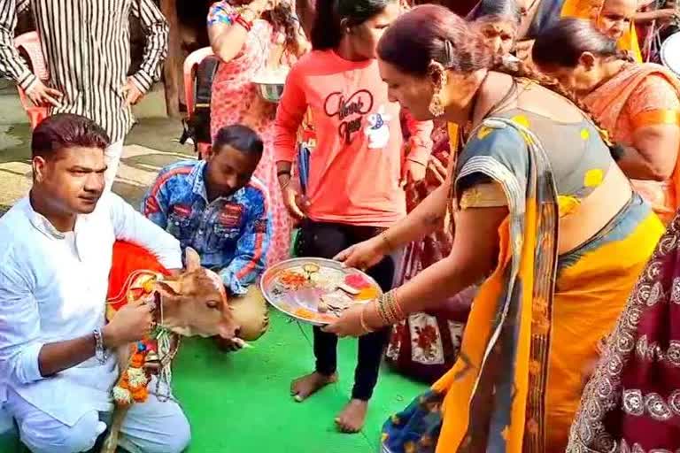 Kinnar Celebrated Birthday of Cow baby