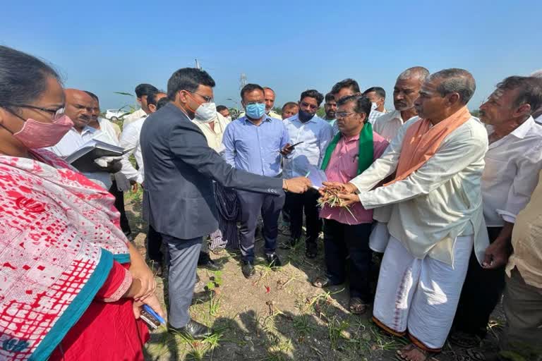 Central team visited flood hit areas in dharwad