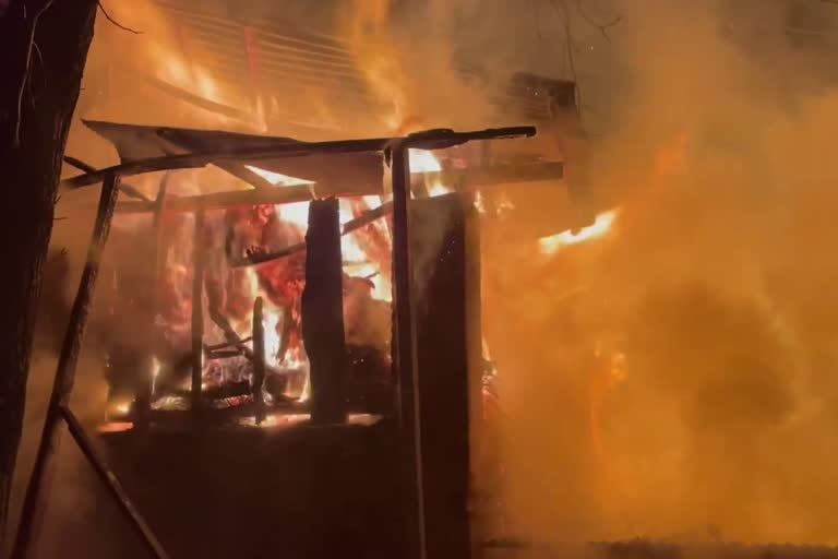 Cowshed Gutted in Pulwama: رہمو، پلوامہ میں آتشزدگی؛ گؤ خانہ خاکستر