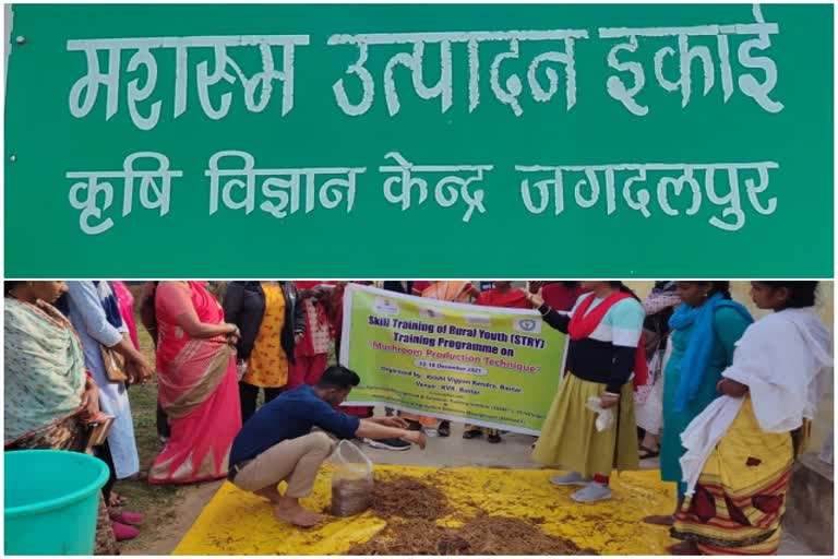 Women of Naxal area will become self-sufficient by producing mushrooms