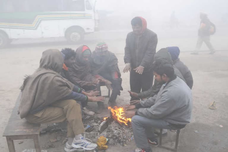 cold wave in haryana