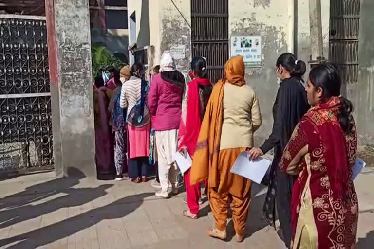 htet exam in haryana