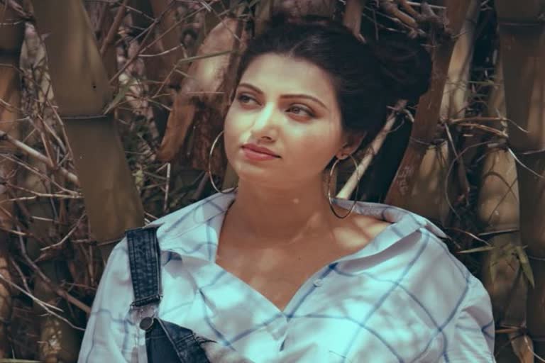 Hamsa Nandini