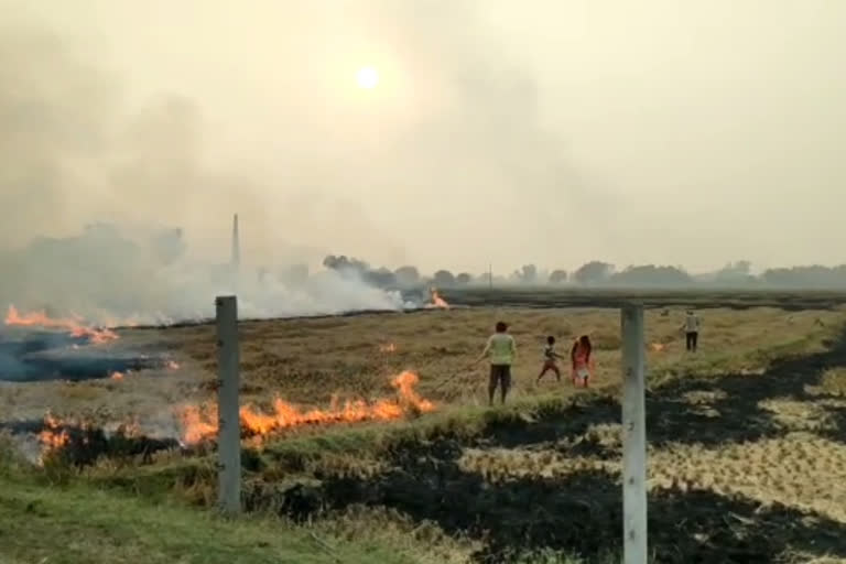 Farmers are burning stubble in Kaimur