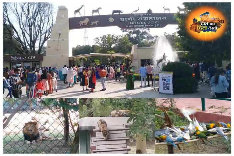 Kamla Nehru Zooalogical Park ready to welcome new guests in new year