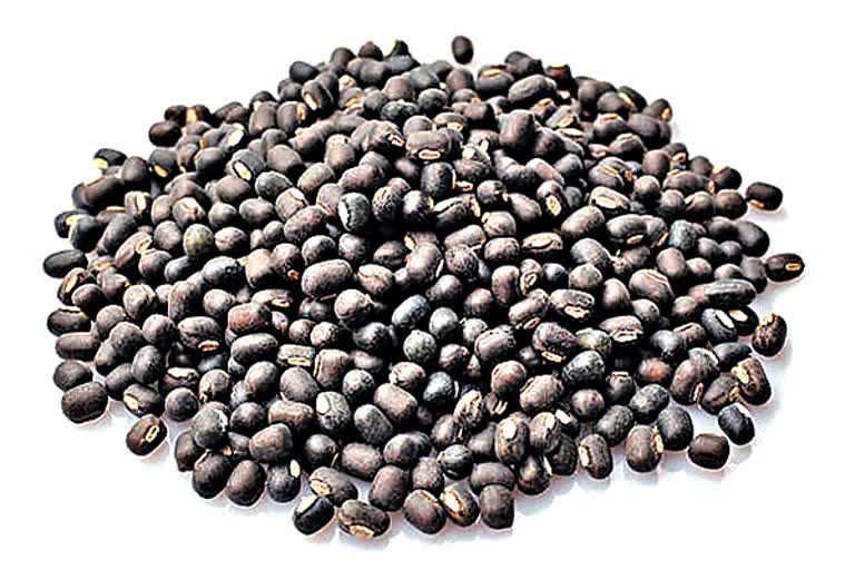 Black Gram Cultivation, Black Gram demand