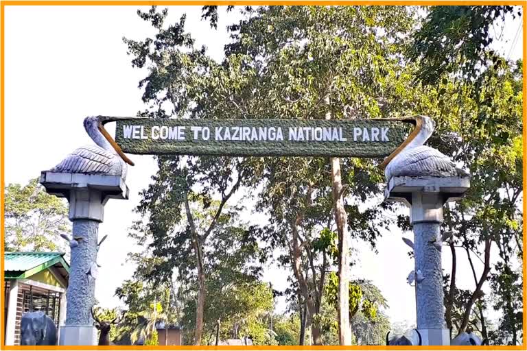 Kaziranga national park