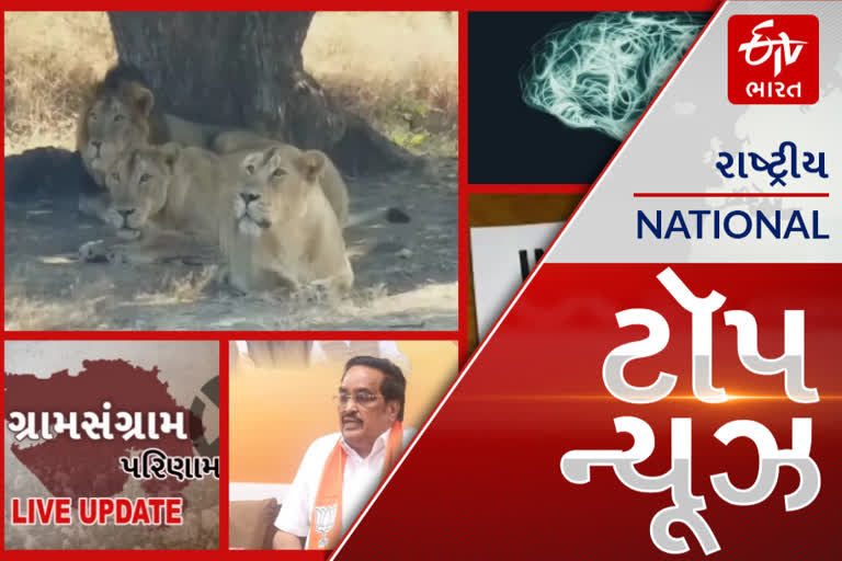 TOP NEWS: ગીરમાં ટ્રેનની અડફેટે સિંહના મોત અંગે આજે સુઓમોટો સુનાવણી. આ અને અન્ય તમામ મહત્વપૂર્ણ સમાચાર, વાંચો માત્ર એક ક્લિકમાં...