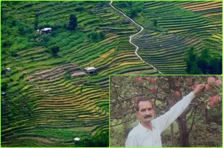 Engineer started organic farming in Shimla