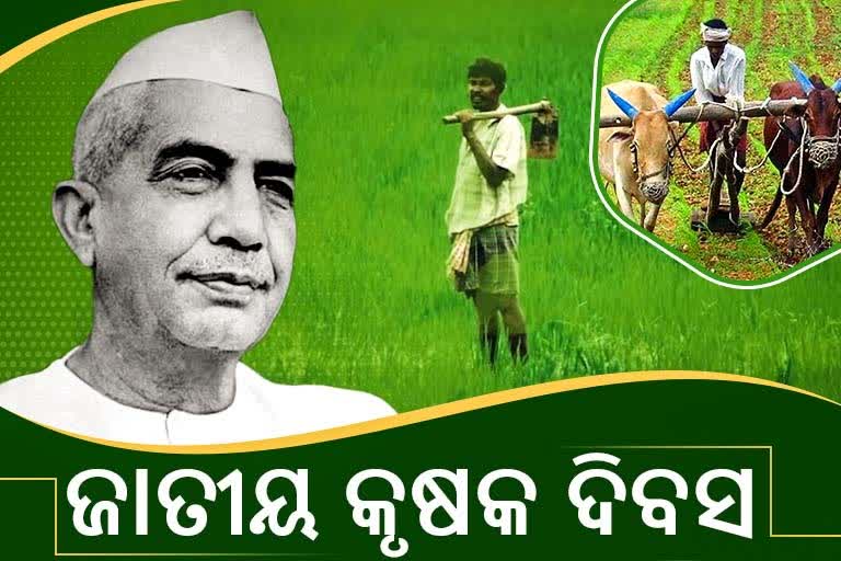 National Farmers Day: କୃଷି କଲେ ଉନ୍ନତ, ହେବ ସକଳ ଉନ୍ନତି