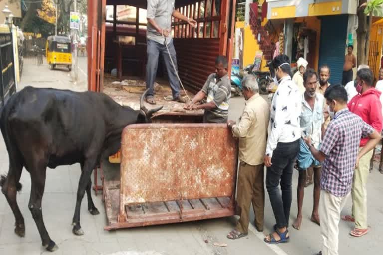 கால்நடை உரிமையாளர்களுக்கு அபராதம்