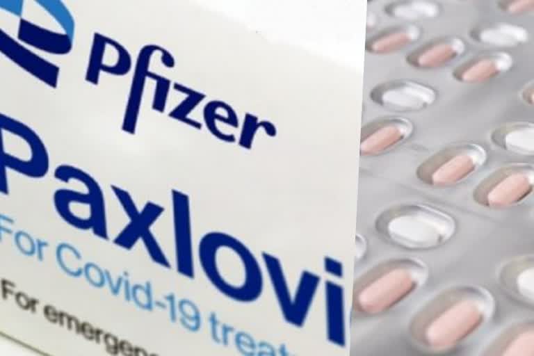 Pfizer oral Covid-19 pill Paxlovid