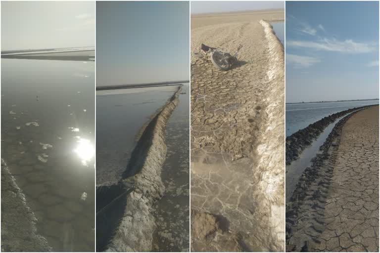 Salt Farmers of kutch Desert