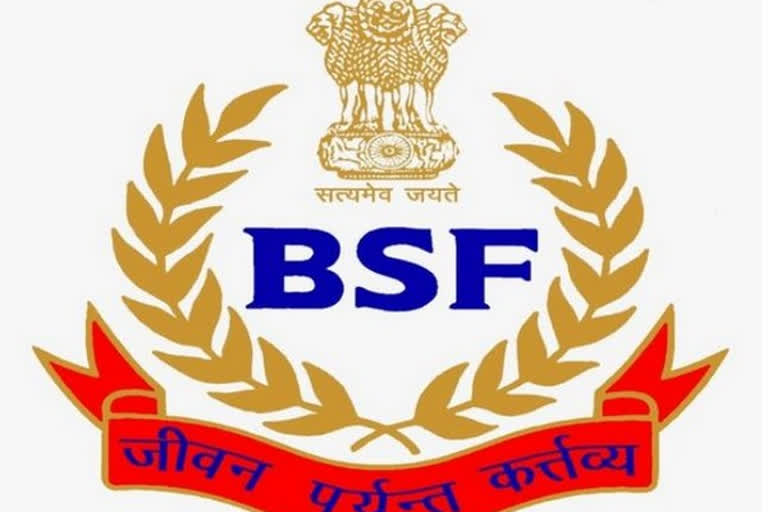 Suspected cattle smuggler shot dead by BSF at Bangladesh border