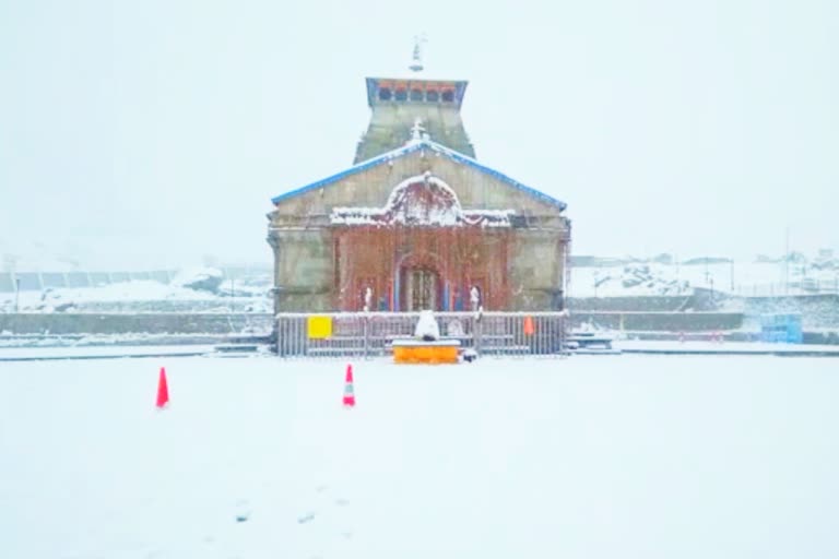 snowfall in kedarnath dham