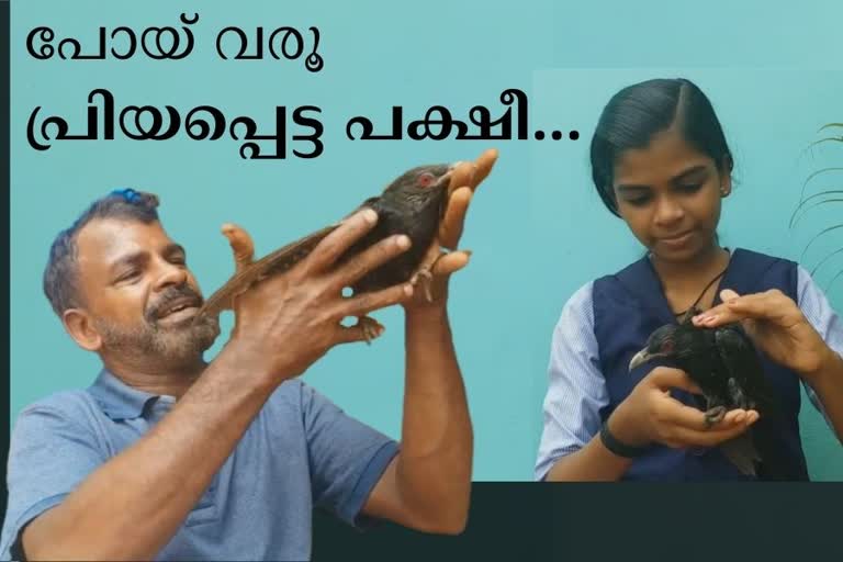 heart touching story of karunakaran's family with a cuckoo bird  cuckoo bird and karunakaran kasargode  കരുണാകരനും കുടുംബവും കുയിലും  കാസര്‍കോട്‌ കരുണാകരന്‍ കുയില്‍