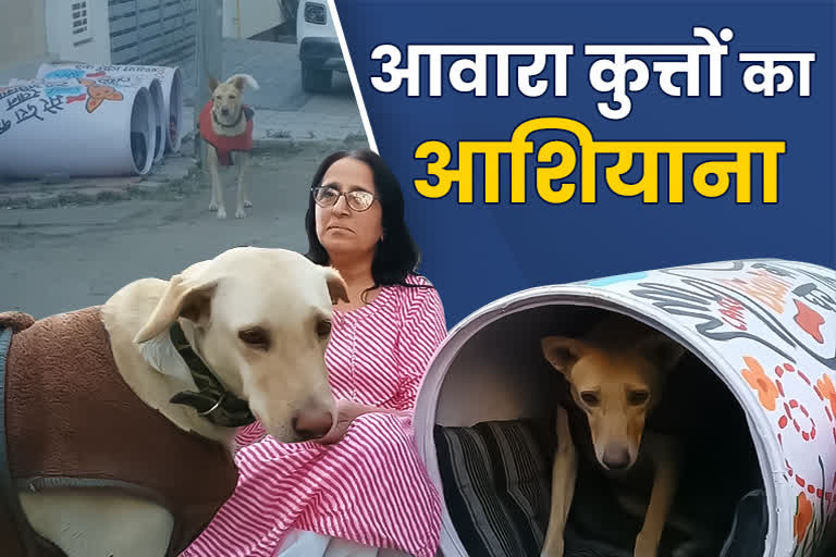 house for dogs in indore