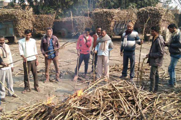 गन्ना जलाकर किसानों ने किया विरोध, कहा चीनी मिल गन्ना तौल में कर रही मनमानी