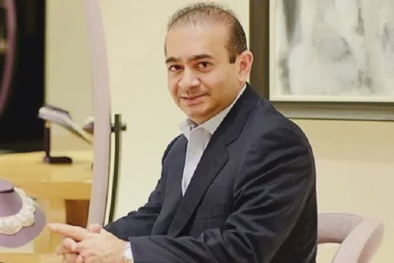 Nirav Modi Assets Auction : પીએનબી સ્કેમ ભાગેડુની 1000 કરોડની સંપત્તિની હરાજી થશે