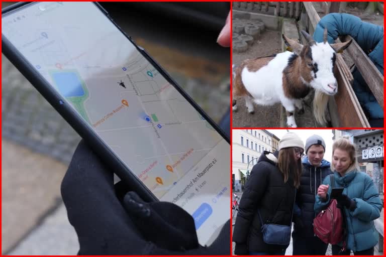 Digital map helps Berliners track down city's goats