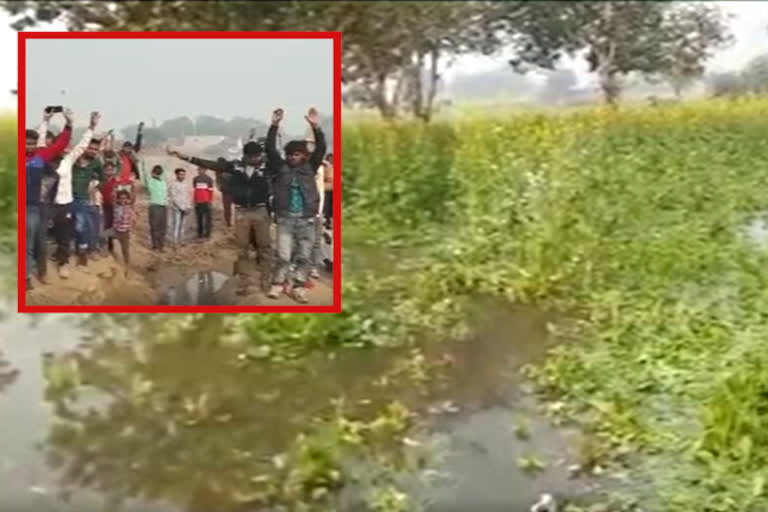 crop damage, dholpur news