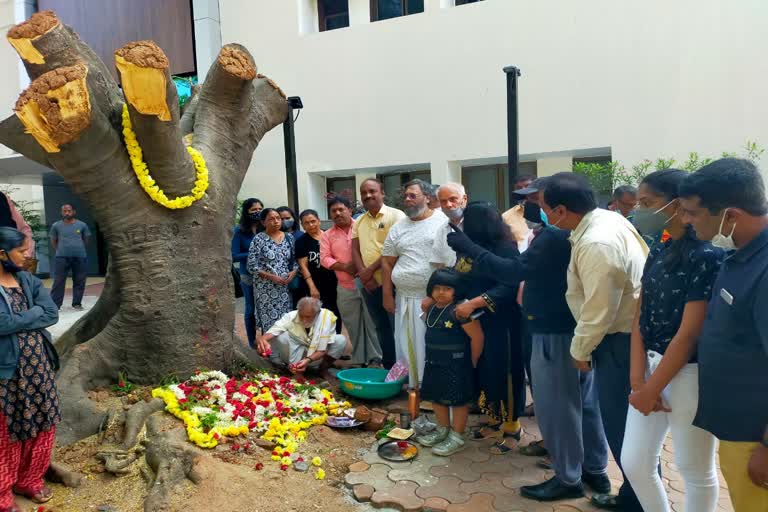 environmental lovers Performed Funeral For cutten trees in Mysore