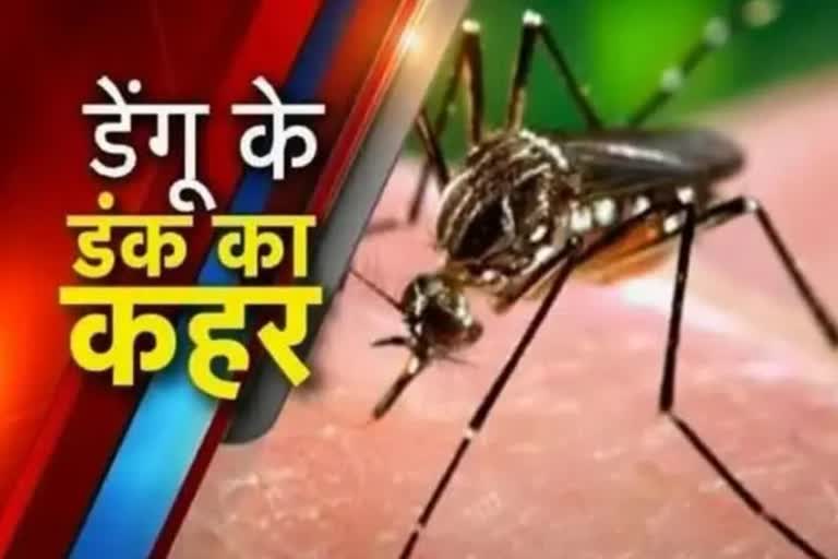 Dengue in delhi