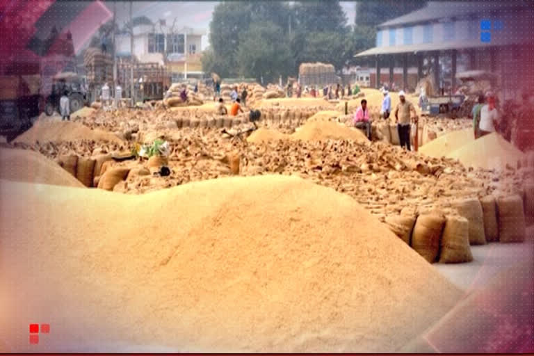 central government statement on paddy procurement