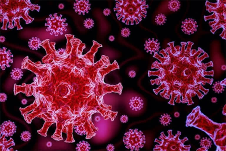 corona virus in body