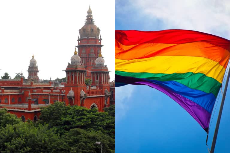 glossary to address LGBTQIA+ members Madras High Court  Madras High Court to tamil nadu govt on LGBTQIA+ issue  എൽജിബിടിക്യുഐഎ പ്ലസ് അംഗങ്ങളെ അഭിസംബോധന ചെയ്യാൻ പദസൂചിക  കമ്മ്യൂണിറ്റി അംഗങ്ങൾക്ക് ഗ്ലോസറി  തമിഴ്‌നാട് സർക്കാരിന് മദ്രാസ് ഹൈക്കോടതിയുടെ നിർദേശം  LGBTQIA+ Madras High Court  എൽജിബിടിക്യുഐഎ പ്ലസ് മദ്രാസ് ഹൈക്കോടതി