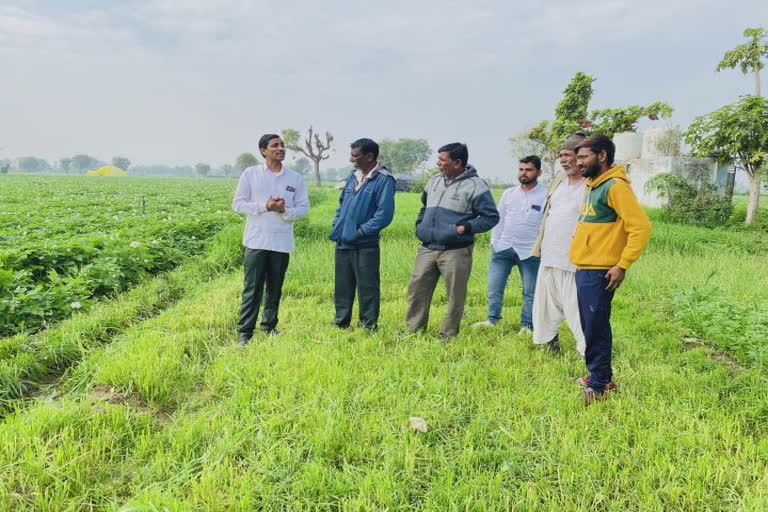 Unseasonal Rain In Banaskantha: બનાસકાંઠા જિલ્લામાં ફરી એકવાર કમોસમી વરસાદ, ખેડૂતોના જીવ તાળવે ચોંટ્યા