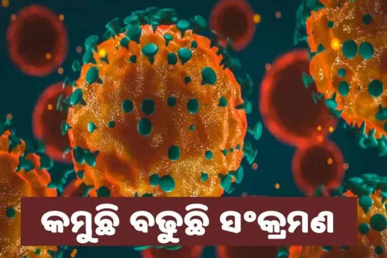 ଦିନକରେ ଚିହ୍ନଟ ହେଲେ ୨୨୧ ଆକ୍ରାନ୍ତ