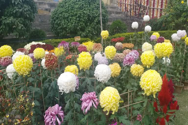 malda flower fair