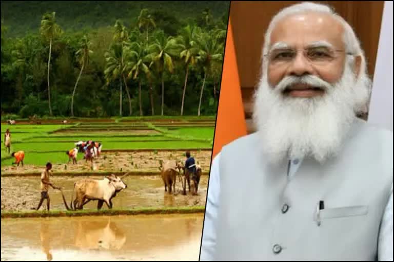 Pradhan Mantri Kisan Samman Nidhi