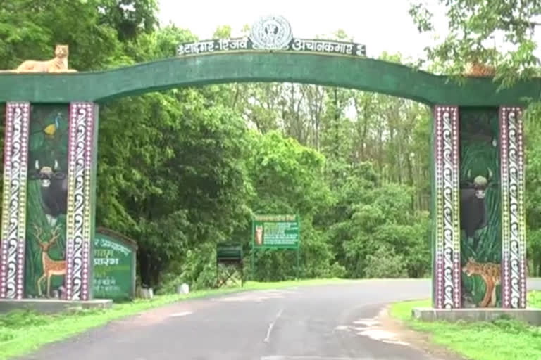 2 new gates will open in Achanakmar Tiger Reserve from January