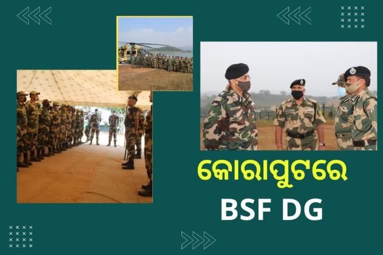 BSF DG