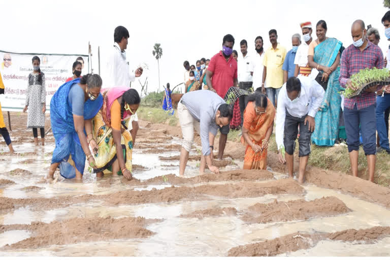 திருவள்ளூர் மாவட்ட ஆட்சியர்!