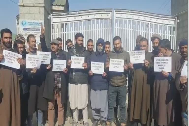 protest-in-fruit-mandi-sopore-against-illegal-export-of-iran-apples