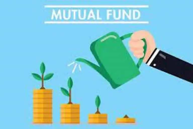 Investment in Mutual Funds