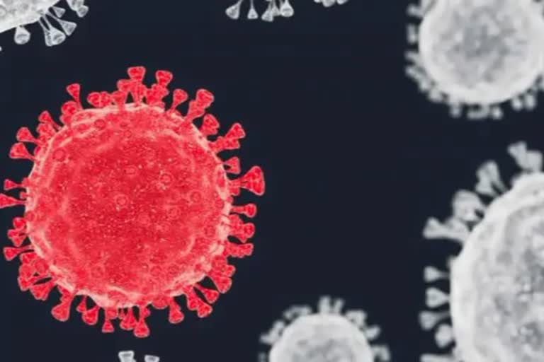 France reports coronavirus cases