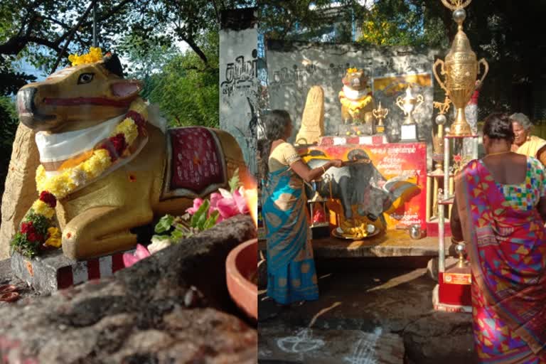 Sukkuru Dhevan Bull Statue, Madurai Keelakuyilkudi Bull Statue, மதுரை கீழகுயில்குடி காளை சிலை, சுக்குரு தேவன் காளை சிலை