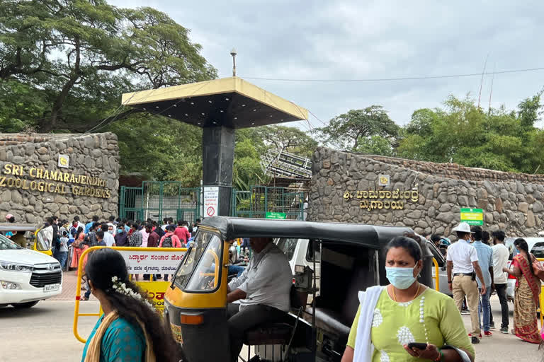 Animal house built for Orangutan, Animal house built for Orangutan at Mysore Zoo, Mysore Zoo news, ಒರಾಂಗೂಟಾನ್​ಗಾಗಿ ಪ್ರಾಣಿ ಮನೆ ನಿರ್ಮಾಣ, ಮೈಸೂರು ಜೂನಲ್ಲಿ ಒರಾಂಗೂಟಾನ್​ಗಾಗಿ ಪ್ರಾಣಿ ಮನೆ ನಿರ್ಮಾಣ, ಮೈಸೂರು ಜೂ ಸುದ್ದಿ,