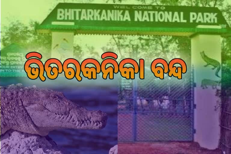 କୁମ୍ଭୀର ଗଣନା ଆରମ୍ଭ, ଆଜିଠୁ ୧୦ ଦିନ ପର୍ଯ୍ୟଟକଙ୍କ ପାଇଁ ଭିତରକନିକା ବନ୍ଦ