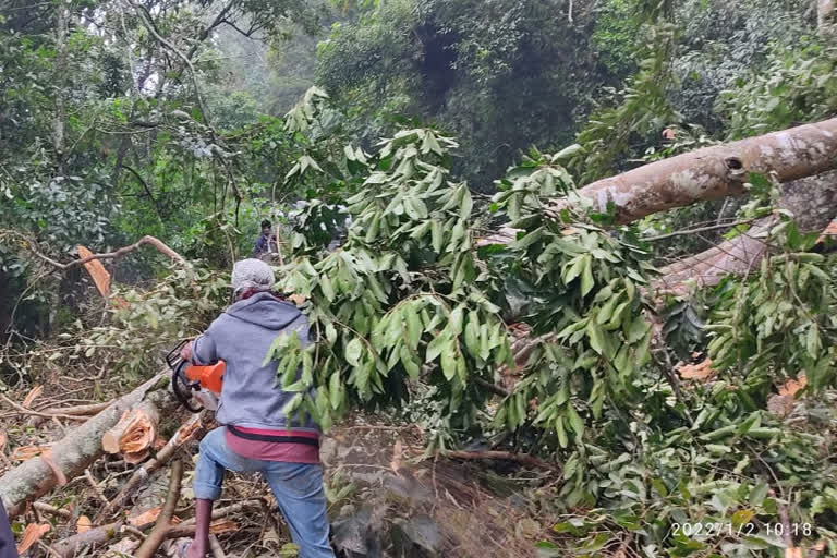 கொடைக்கானலில் மண் சரிவு