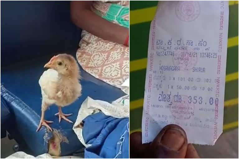 KSRTC Bus conductor charged Rs. 52 ticket for baby chick  baby chick bus charge karnataka  പത്ത് രൂപക്ക് വാങ്ങിയ കോഴിക്കുഞ്ഞിന് ബസ്‌ ചാർജ് 52 രൂപ  കോഴിക്കുഞ്ഞിനും ബസ്‌ ചാർജ്