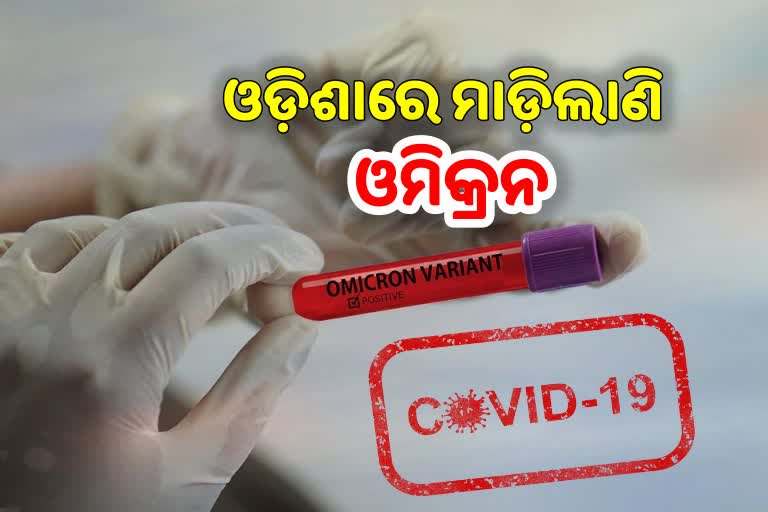 many omicron variant infected detected in odisha