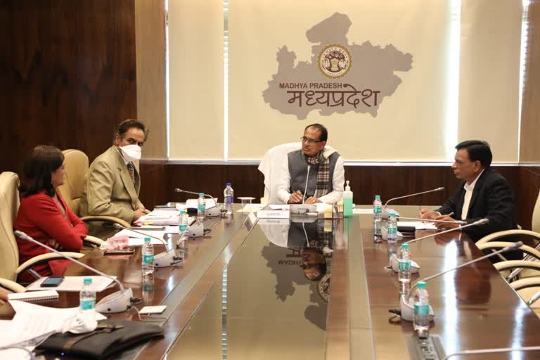 CM Shivraj review meeting