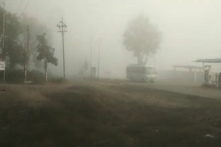 Dense fog with cold in koriya