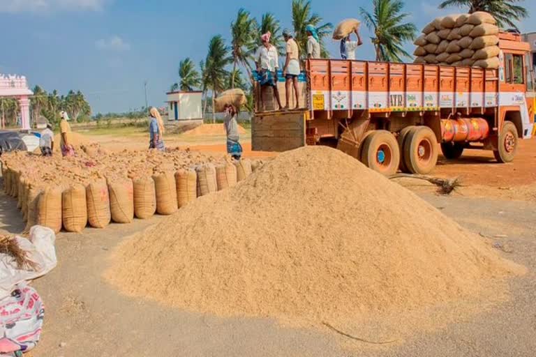 நெல் கொள்முதல்